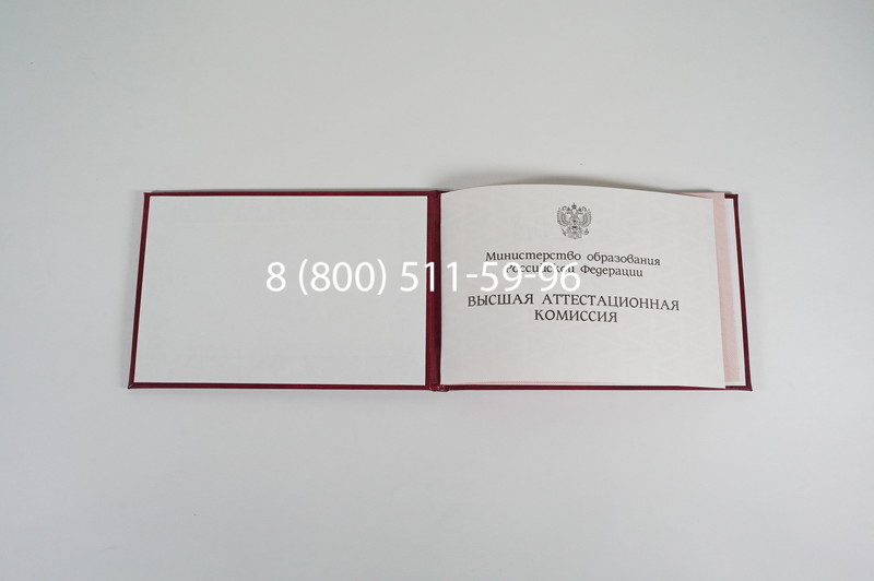 Диплом доктора наук 1995-2006 года в Красногорске Диплом доктора наук 1995-2006 года в Красногорске
