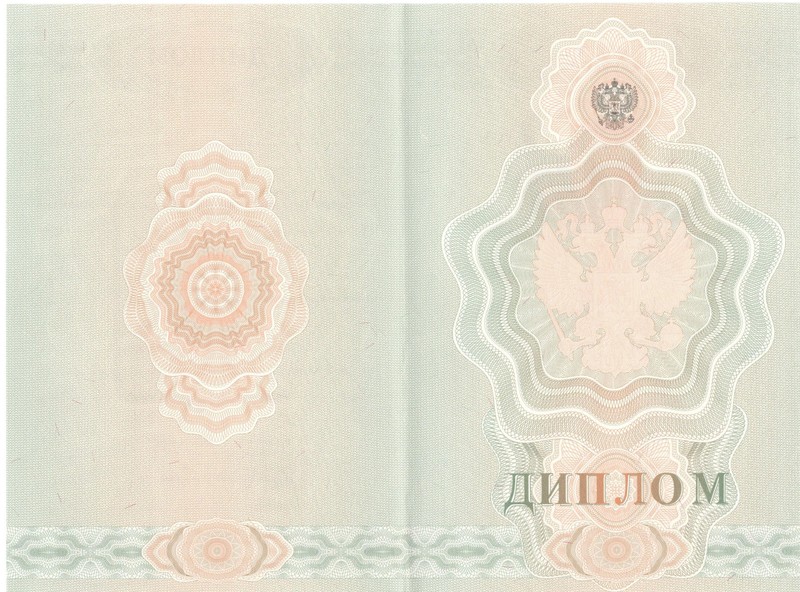 Купить Диплом о начальном образовании 2007-2009 годов в Красногорске Купить Диплом о начальном образовании 2007-2009 годов в Красногорске
