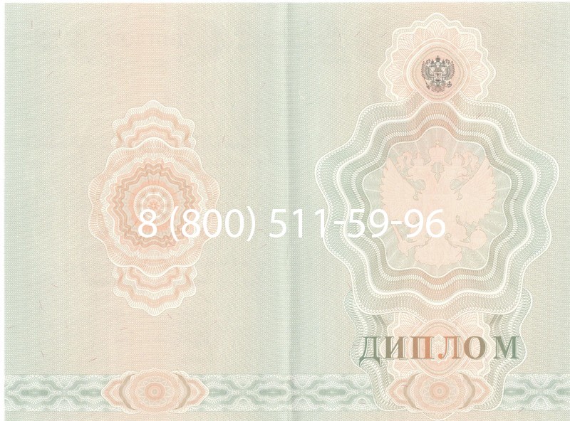 Купить Диплом училища 2007-2009 годов в Красногорске Купить Диплом училища 2007-2009 годов в Красногорске